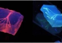 Nanoengineers 3-D print biomimetic blood vessel networks