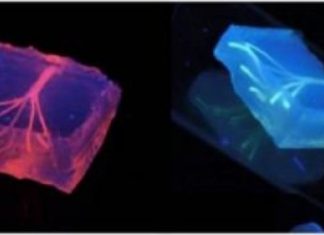 Nanoengineers 3-D print biomimetic blood vessel networks