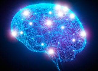Brain networks at rest are in readiness for action, researchers suggest