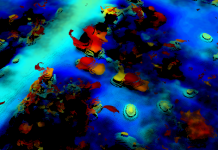 ISRAEL : Foliage Penetrating Radar (FOPEN) – New Eyes Seeking Targets in Forests