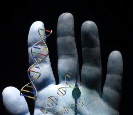Critical step in DNA repair, cellular aging pinpointed