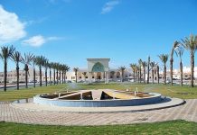 Saudi medicine professor breaks another male bastion