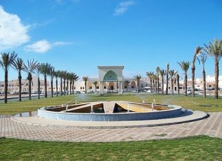 Saudi medicine professor breaks another male bastion