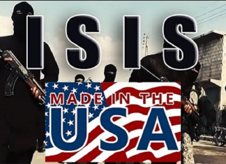 EXCLUSIVE REPORT – USA : STUDIES SHOW THAT THE HIGHER RISK OF TERRORISM IS BY CITIZENS