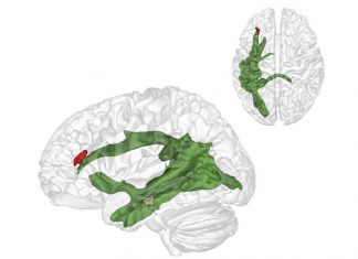 The importance of relating to others: Why we only learn to understand other people after the age of four