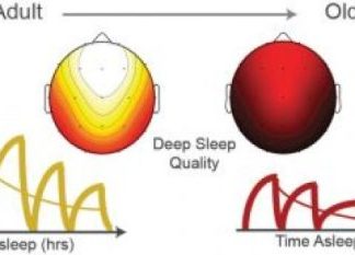 Deep sleep may act as fountain of youth in old age