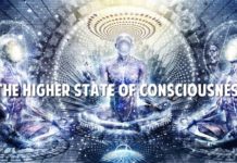 What a Trip: First Evidence for Higher State of Consciousness Found