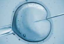 ISRAELI STUDY : IVF babies have higher cancer risk