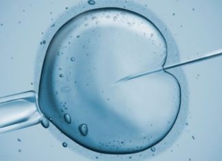 ISRAELI STUDY : IVF babies have higher cancer risk