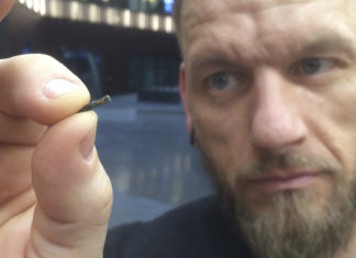 Swedes Microchip Themselves