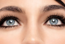 Eye Expressions Offer a Glimpse Into the Evolution of Emotion