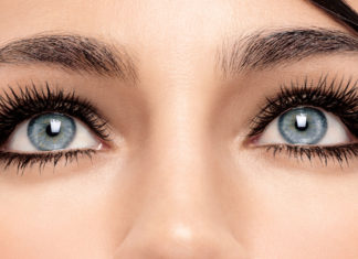 Eye Expressions Offer a Glimpse Into the Evolution of Emotion