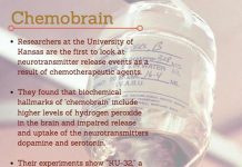 Cancer Potential Therapy to Prevent Chemobrain in Cancer Patients