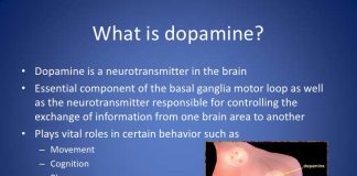 Dopamine Levels Fall During Migraine Attacks