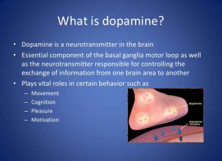 Dopamine Levels Fall During Migraine Attacks