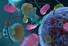 Common Factor Links Neurodegenerative Disease in Old and Young