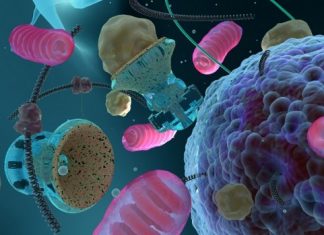 Common Factor Links Neurodegenerative Disease in Old and Young