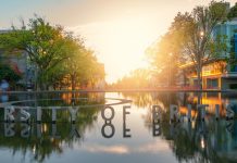 New invention uses bacteria to purify water