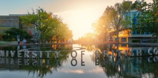 New invention uses bacteria to purify water