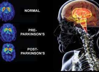 Homing System Delivers Drugs to Specific Neurons