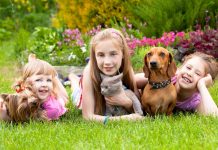 Pet exposure may reduce allergy and obesity