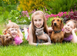 Pet exposure may reduce allergy and obesity