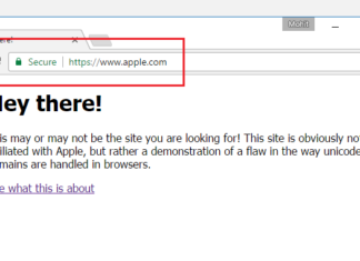 This Phishing Attack is Almost Impossible to Detect On Chrome, Firefox and Opera