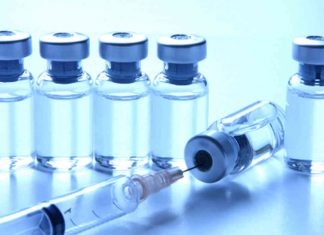 Protein That Increases Effectiveness of Vaccines Discovered