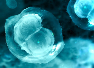 New 3D printing techniques allow to replace ovaries