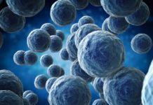 Antibiotic-resistant microbes date back to 450 million years ago, well before the age of dinosaurs