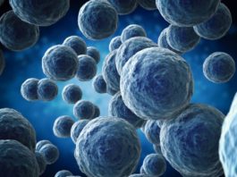 Antibiotic-resistant microbes date back to 450 million years ago, well before the age of dinosaurs