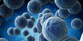 Antibiotic-resistant microbes date back to 450 million years ago, well before the age of dinosaurs