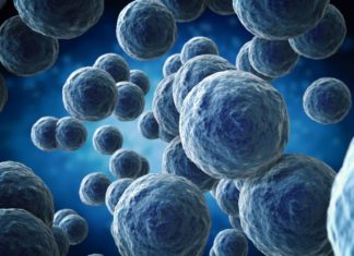 Antibiotic-resistant microbes date back to 450 million years ago, well before the age of dinosaurs