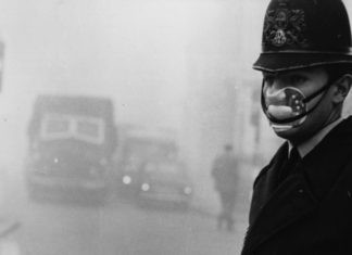 DNA damage in children linked to Traffic-related air pollution
