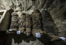 Egypt discovers new necropolis containing dozens of mummies