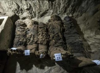 Egypt discovers new necropolis containing dozens of mummies