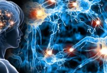 Fungal Toxin May One Day Repair Damage To The Central Nervous System