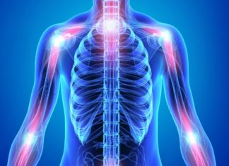 Key Pathway in Inflammation and Aging Identified