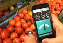 ISRAEL : AclarTech has developed app to monitor in real time freshness and quality of fruit and vegetables
