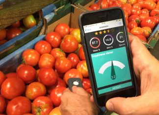 ISRAEL : AclarTech has developed app to monitor in real time freshness and quality of fruit and vegetables