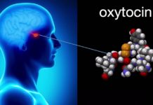 Oxytocin Released During Relationship Crises