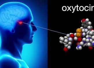 Oxytocin Released During Relationship Crises