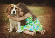 Pet Dogs Help Kids Feel Less Stressed