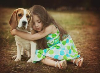 Pet Dogs Help Kids Feel Less Stressed