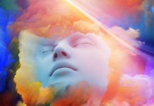 Sniffing Out Stem Cell Fates in the Nose