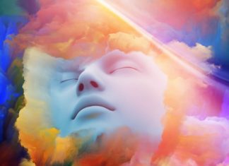 Sniffing Out Stem Cell Fates in the Nose