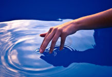 the Sense of Touch : how the brain deciphers neural inputs