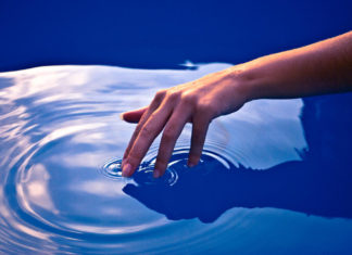 the Sense of Touch : how the brain deciphers neural inputs