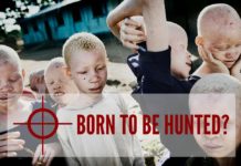 Killed for their bones