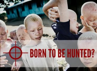 Killed for their bones